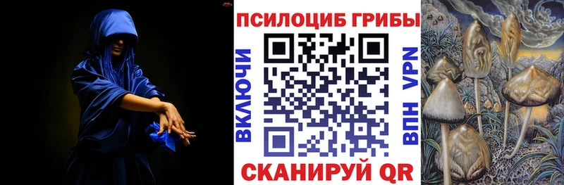 Псилоцибиновые грибы ЛСД Богородск
